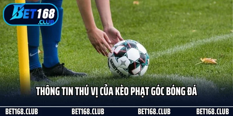 Thông tin thú vị của kèo phạt góc bóng đá